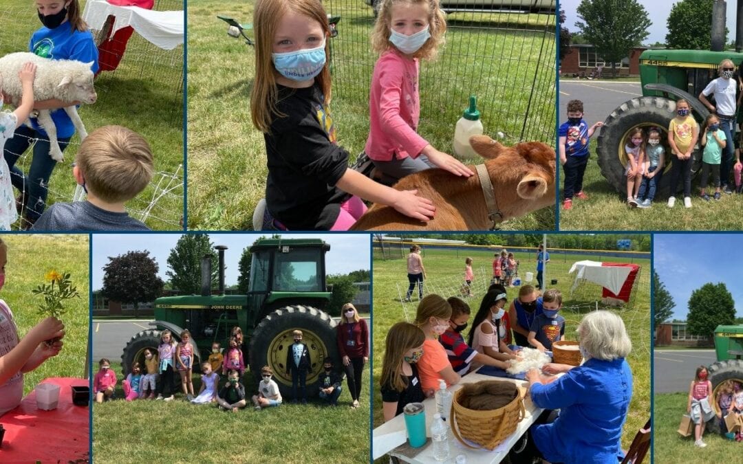 AG Day at the Primary School